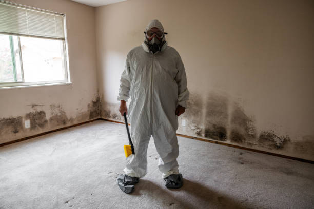 Best Bathroom Mold Remediation in Ellensburg, WA